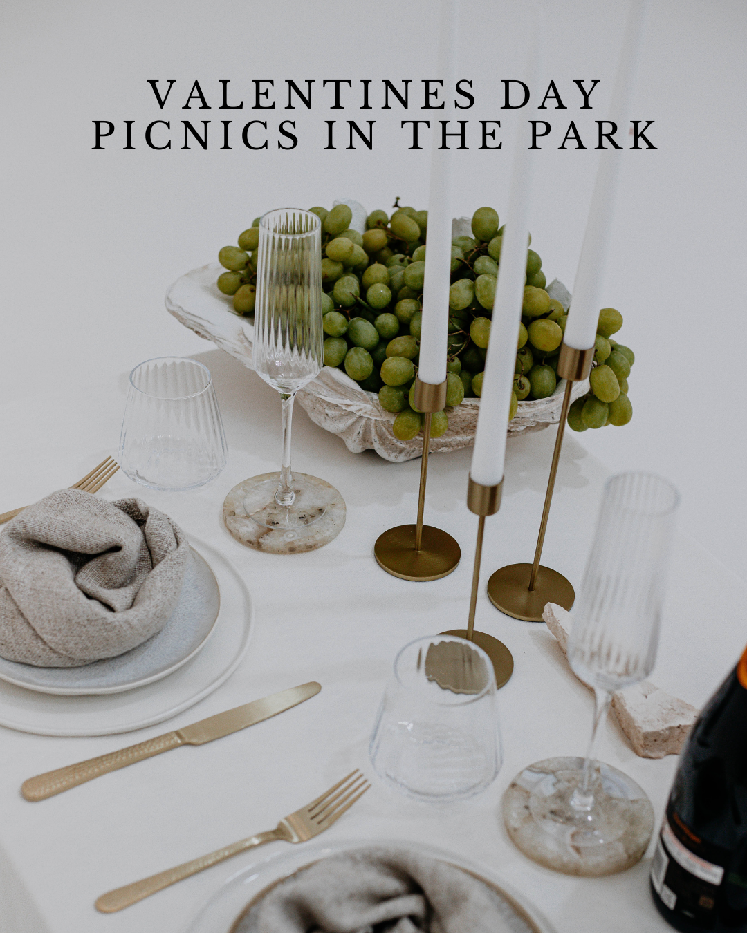 Valentines Day - Picnic in the Park